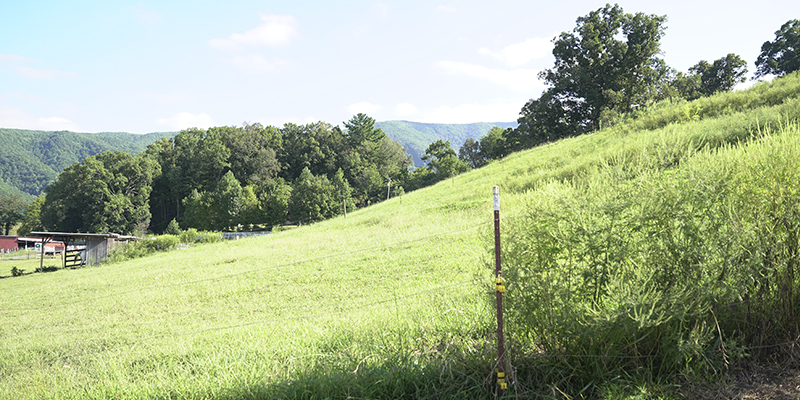 Rent Cabins in the Smoky Mountains