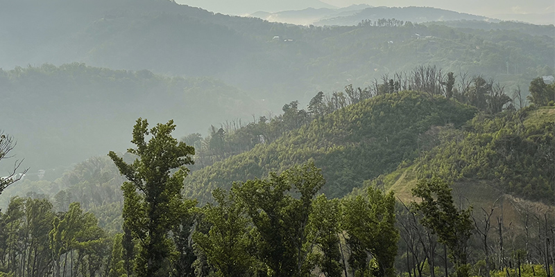 Smoky Mountain Scenic Places