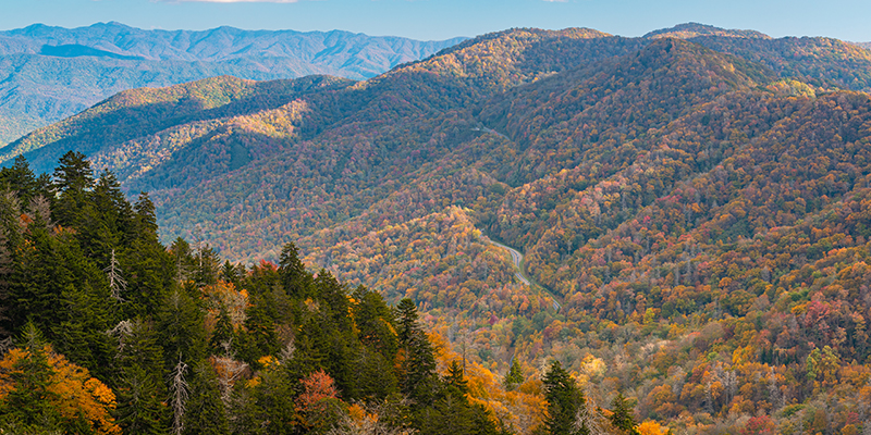 Smoky Mountain Vacation Experience