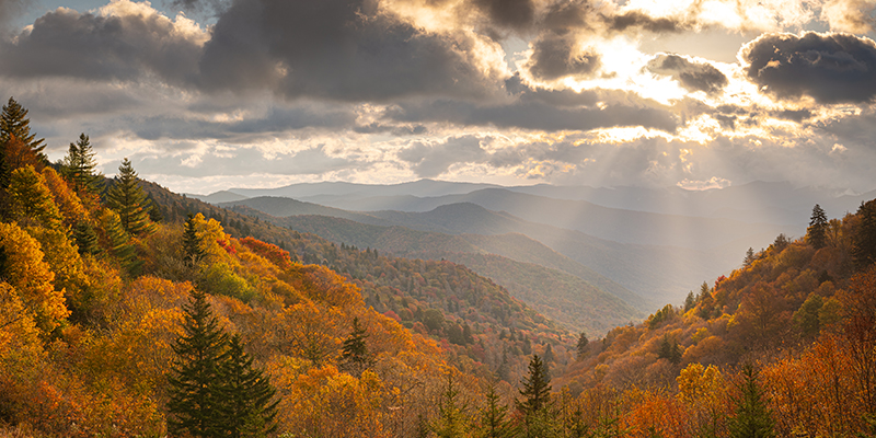 Vacation Experience in the Smoky Mountains