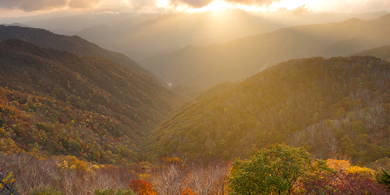 Fall Vacation in the Smoky Mountains