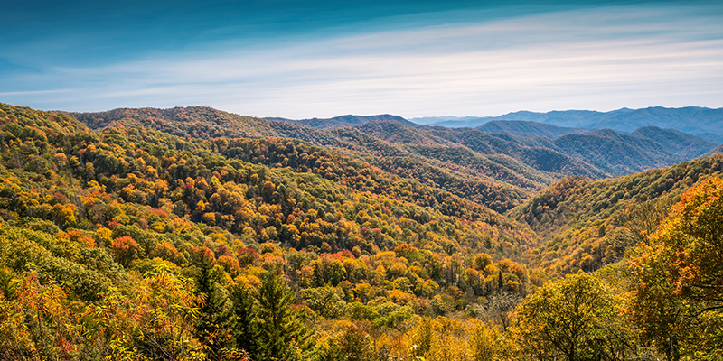 Cabin Rentals in the Smoky Mountains