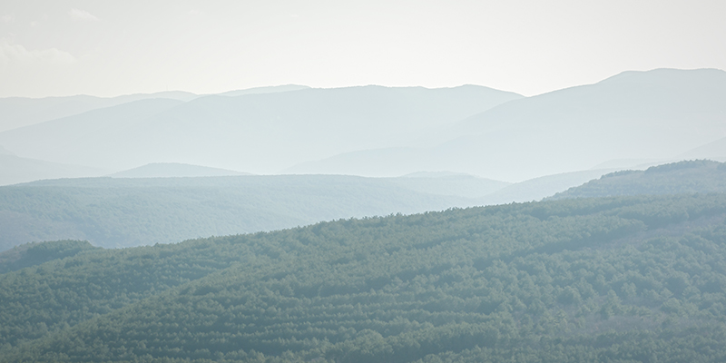 Winter Destination Smoky Mountains