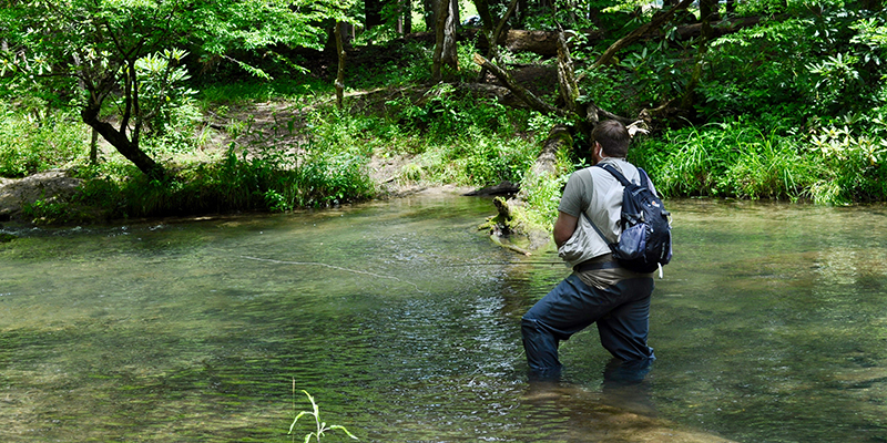 Spring Break in the Smoky Mountains