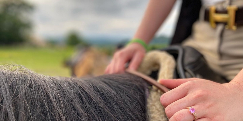 Embark on an Adventure Experience a Wears Valley Horse Ranch at A Kings Lodge-3