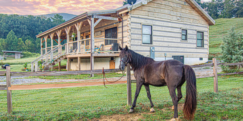 Experience the Beauty of Fall in the Smokies at Kings Lodge