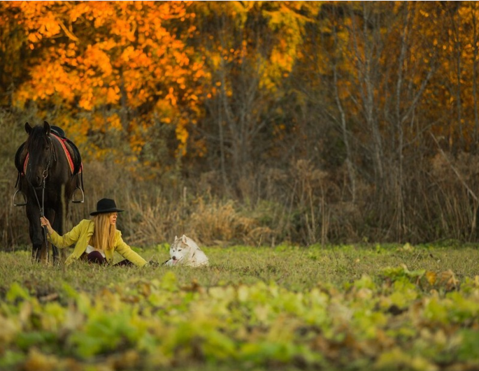 Cades Cove Events