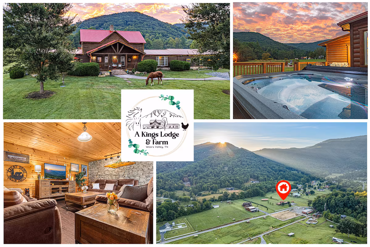 Lodge 13 Discover A King's Lodge where tranquility and adventure unite offering a captivating retreat amidst natural beauty and excitement