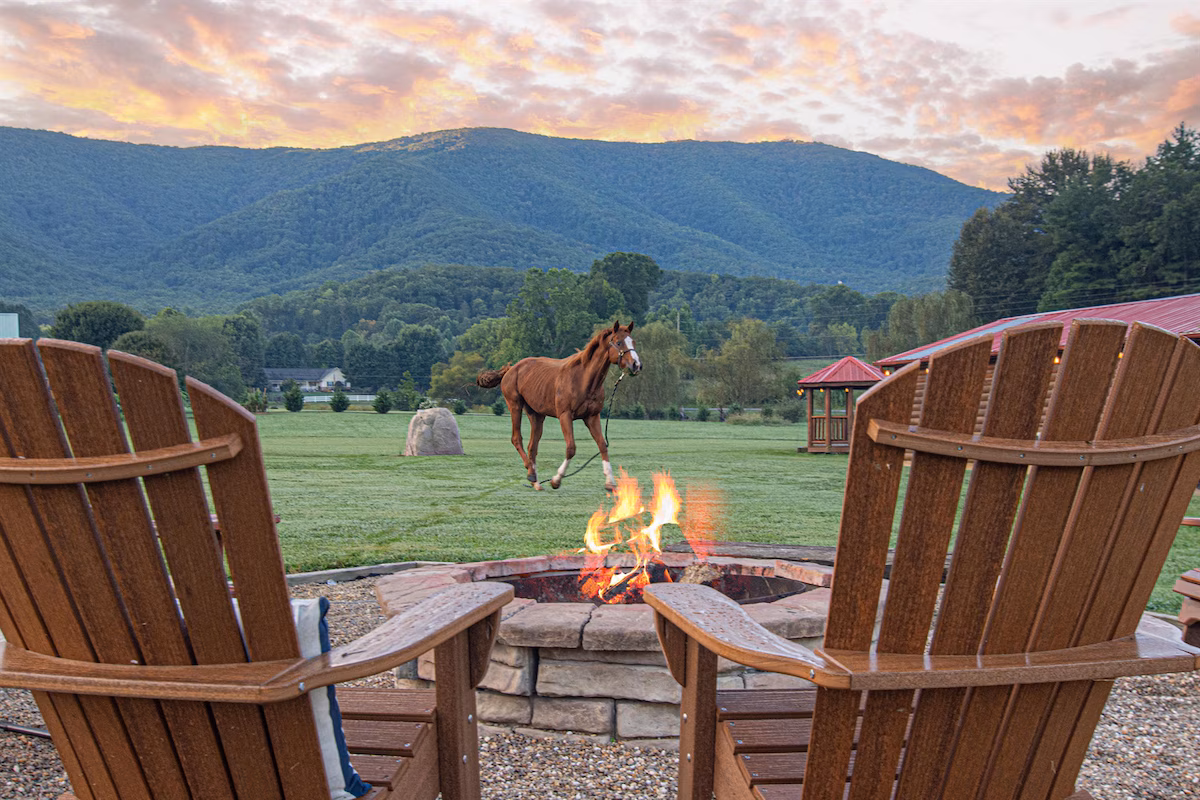 Lodge 11 fire pit views