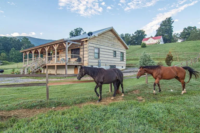 your friendly neighbors